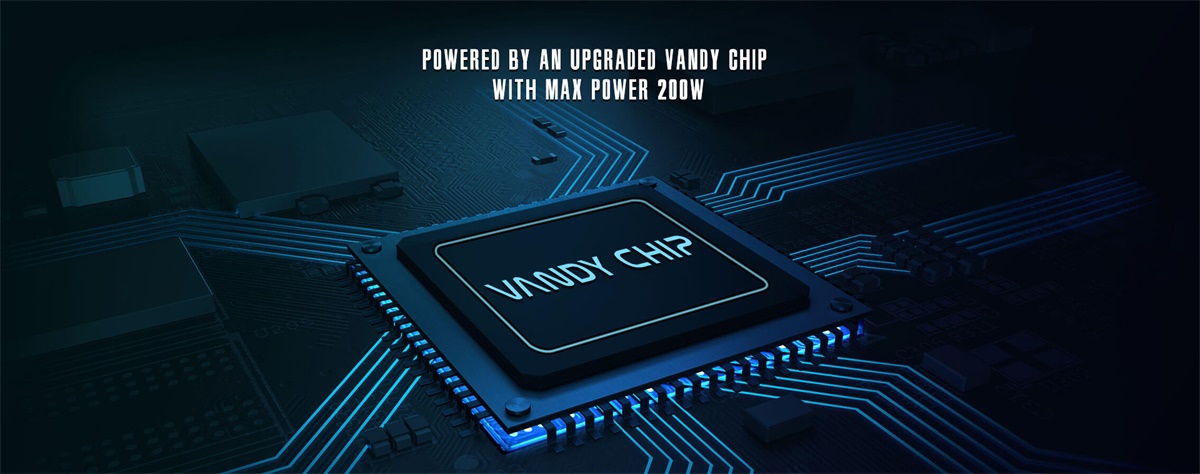 Vandy Vape Gaur-21 Mod - Chipset