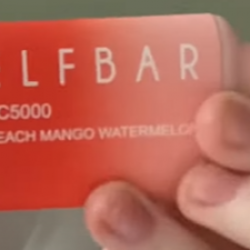 elf bar