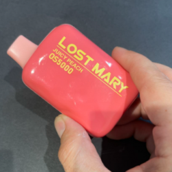buy lost mary os5000 disposable