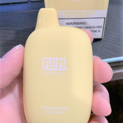 Flum 6000 Puffs Disposable Vape