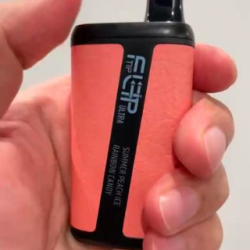 FLIPTIP Ultra 10000 vape