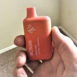 elfbar bc5000
