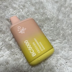 eb design bc5000 0 nic