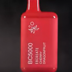 EBCREATE BC5000 Thermal Edition review