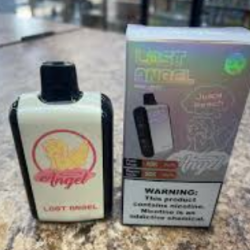 Lost Angel Pro Max 20K review