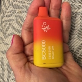 good Beach Day bc5000