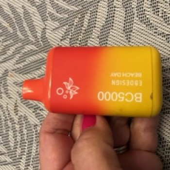 good Beach Day bc5000