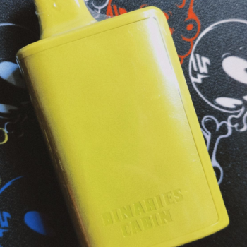 buy Vanilla Ice Cream Horizon Binaries Cabin