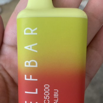 Elf bar malibu disposable review