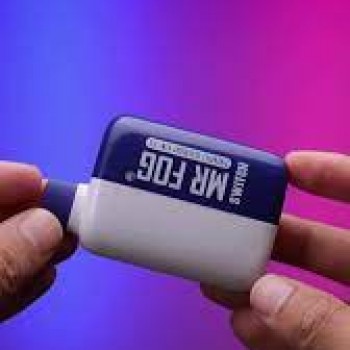 more Mr Fog Switch 5500