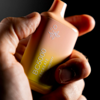 elf bar bc5000 in stock