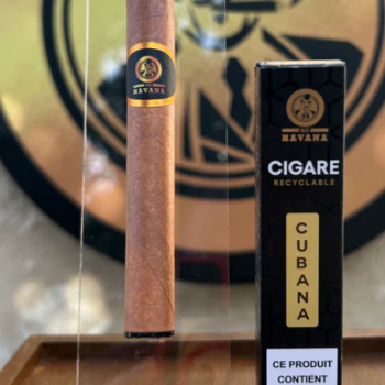 buy Xo havana 600 disposable