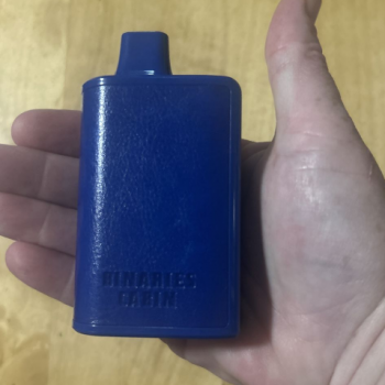 Watermelon Raspberry Ice binaries cabin disposable for sale