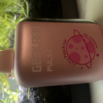 Geek Bar Pulse Vape sale