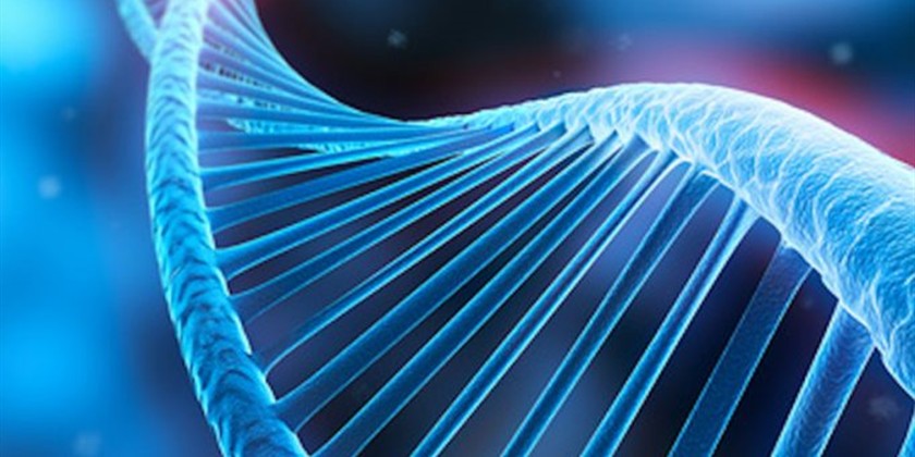 U.S. Study Says That Vaping Alters The Body’s Response to Viruses