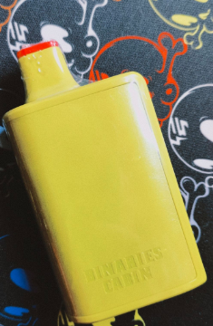 Binaries Cabin in usa