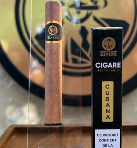 buy Xo havana 600 disposable