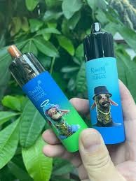 buy R and M Sunax 21000