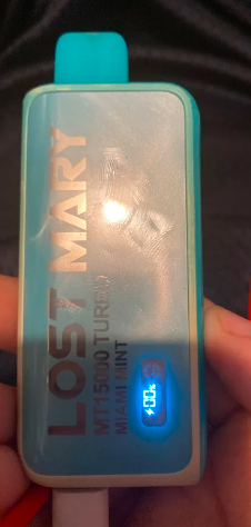 lost Mary MT15000 vape