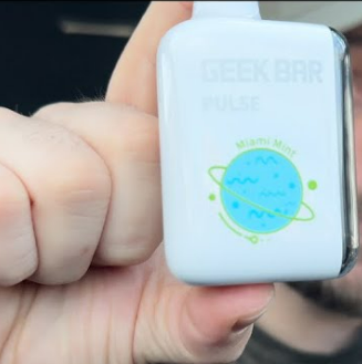 buy Miami Mint Geek Bar Pulse 15000