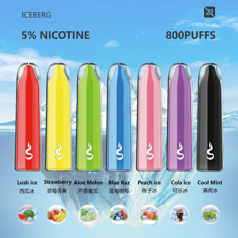Smoker Chat Disposable Vape Device 800 Puffs 400mAh Vapesourcing