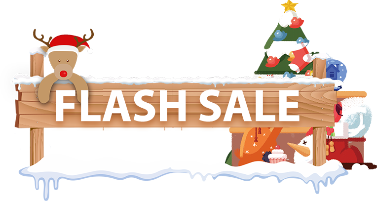 Christmas Flash Sale