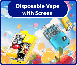 Disposable vape with screen