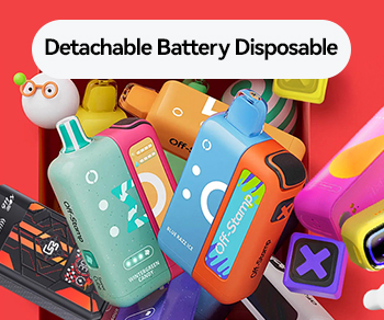 Disposable Vape with Detachable Battery